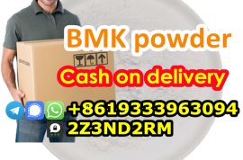 BMK powder 5449 12 7 Germany Warehouse
