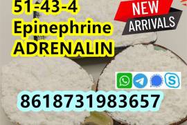 cas 51-43-4 Epinephrine powder C9H13NO3 ADRENALIN