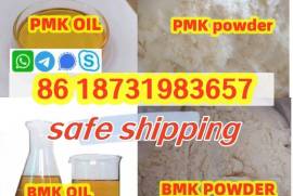 bmk/pmk powder to oil 28578-16-7/5449-12-7 EU stoc