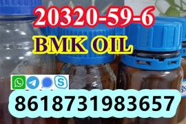 cas20320-59-6 bmk oil with high concentration bmk 