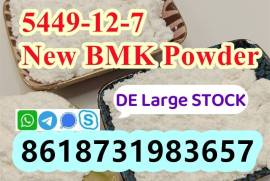 cas 5449-12-7 bmk glycidic acid powder bmk supply