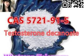 CAS 5721-91-5 Powder Safe shipping Factory price