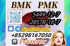 High extract rate 25547-51-7 bmk powder PMK Overse