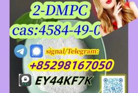 Company Hot Product 4584-49-0 Telegram85298167050