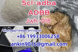 Auto / Moto, Special Equipment, Cars