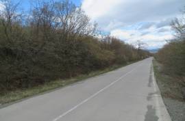 იყიდება, უძრავი ქონება, მიწის ნაკვეთები