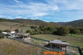 რკინა-ბეტონის მონოლითური კონსტრუქციების მშენებლობა