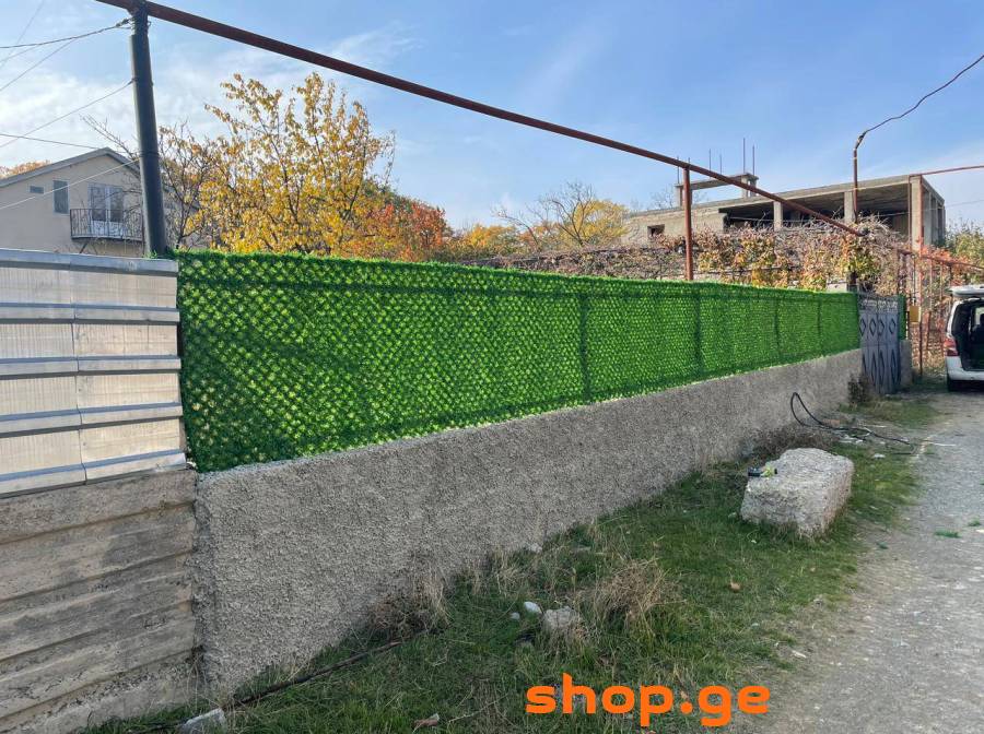 დეკორატიული ღობე