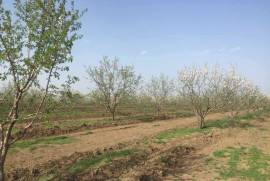 For Sale, Real Estate, Lands