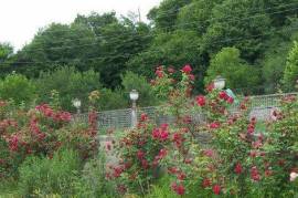 For Sale, Real Estate, Houses / Cottages