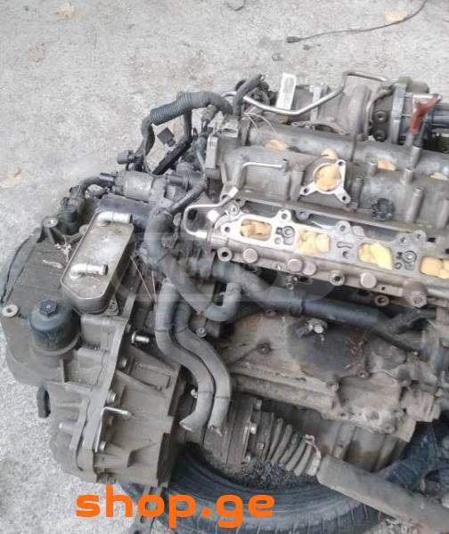 Auto / Moto, Special Equipment, Cars, Volkswagen, Golf