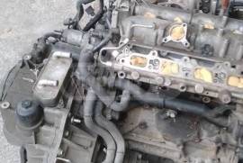 Auto / Moto, Special Equipment, Cars, Volkswagen, Golf