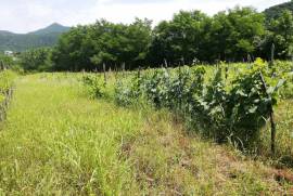 For Sale, Real Estate, Lands