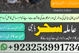 Aslii Amilbaba Pakistan NO1 Aslii Kalajadu Amil us