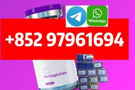Semaglutide910463-68-2 Sema  top quality  factory