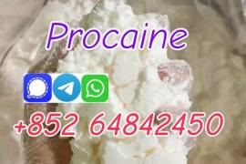 cas59-46-1 procaine base  procaine powder 