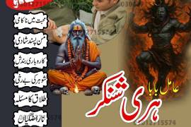 Powerful Black Magic Removal by #AmilBabaKarachi