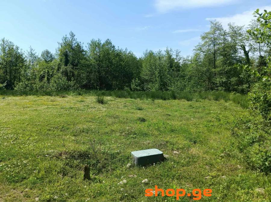 For Sale, Real Estate, Lands
