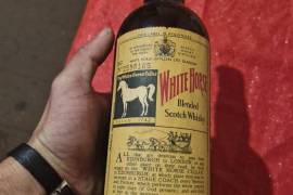 White horse