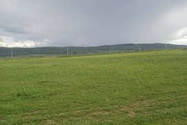 გზების მოწყობა