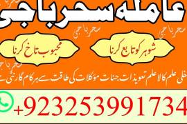 A1 Vashikaran,canada AMILBABA America,kalajadu uk