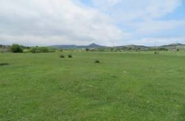 For Sale, Real Estate, Lands