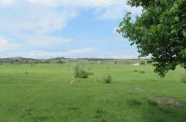 For Sale, Real Estate, Lands
