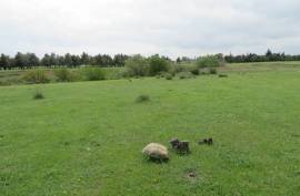 For Sale, Real Estate, Lands