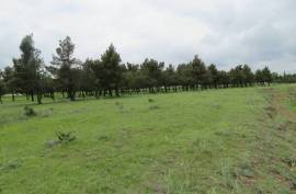 For Sale, Real Estate, Lands