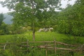 For Sale, Real Estate, Lands
