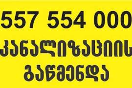 SANTEQNIKI  GAMOZAXEBIT  557554000 