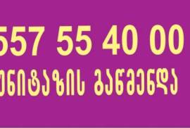 SANTEQNIKI GAMOZAXEBIT BINAZE  557554000
