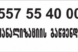 SANTEQNIKI GAMOZAXEBIT BINAZE  557554000