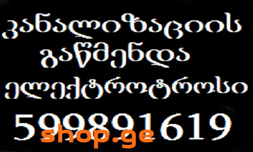 SANTEQNIKI GAMODZAXEBIT 599891619