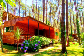 ქირავდება, უძრავი ქონება, სახლები/აგარაკები, შეკვეთილი