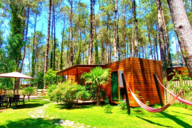 ქირავდება, უძრავი ქონება, სახლები/აგარაკები, შეკვეთილი