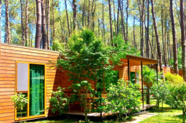 ქირავდება, უძრავი ქონება, სახლები/აგარაკები, შეკვეთილი