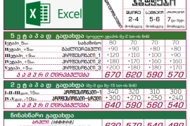 MS Excel ექსელი