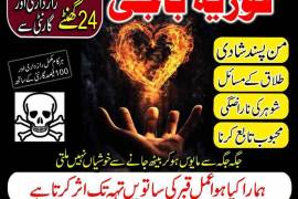 A-1 amil baba kala jadu in lahore for love marriag