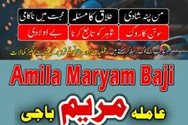 BLACKMAGICSPECIALIST_TOP1 love mariage specialist