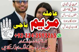 BLACKMAGICSPECIALIST_TOP1 love mariage specialist