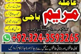 BLACKMAGICSPECIALIST_TOP1 love mariage specialist