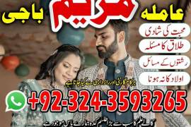 BLACKMAGICSPECIALIST_TOP1 love mariage specialist