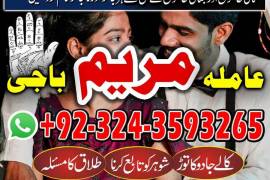 LOVE MARAIGE specialist _top 10amil baba kala jadu