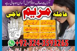 LOVE MARAIGE specialist _top 10amil baba kala jadu