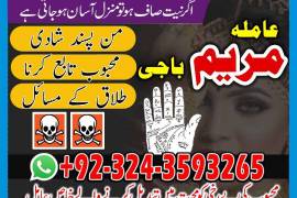LOVE MARAIGE specialist _top 10amil baba kala jadu
