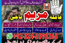 LOVE MARAIGE specialist _top 10amil baba kala jadu