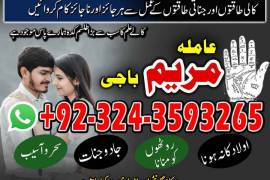 BLACKMAGICSPECIALIST_TOP1 love mariage specialist
