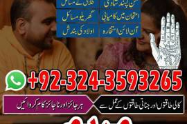 LOVE MARAIGE specialist _top 10amil baba kala jadu