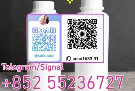 CAS1119-51-3 in stock